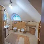 Comfortable 4 Bedroom Outdoor Wood-fired Sauna Warsaw Villa *