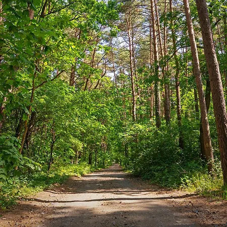 Willa Comfortable 4 Bedroom Outdoor Wood-fired Sauna Warsaw Magdalenka