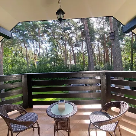 Comfortable 4 Bedroom Outdoor Wood-fired Sauna Warsaw Villa Magdalenka