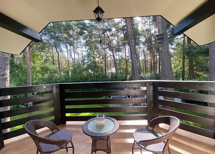 Comfortable 4 Bedroom Outdoor Wood-fired Sauna Warsaw Villa Magdalenka